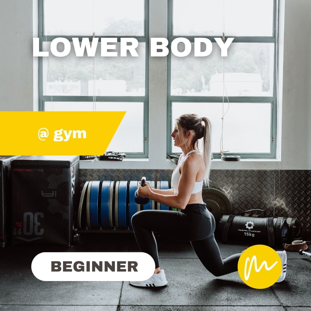 LOWER BODY @ GYM - Beginner